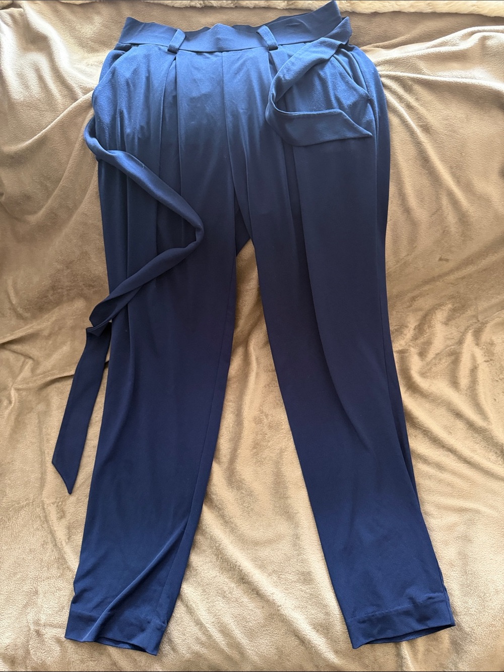 Express Navy Paperbag Waist Tapered Joggers